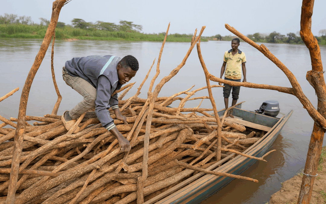 Devolver espacio a los ríos